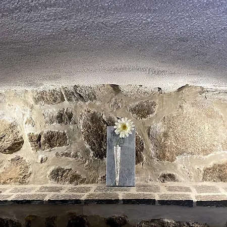 Maison Des Cevennes Arphy